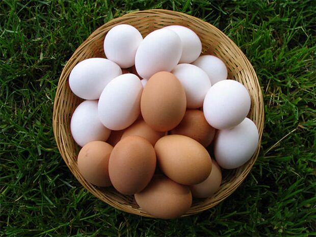 Le uova di gallina rafforzano l'erezione e aumentano la libido maschile